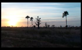 “Kaira Ba (The Great Peace)” Documentary by Marina Poole